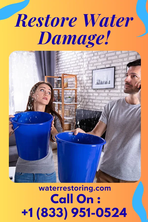 water restoration Expert Restoration Professionals Trenton