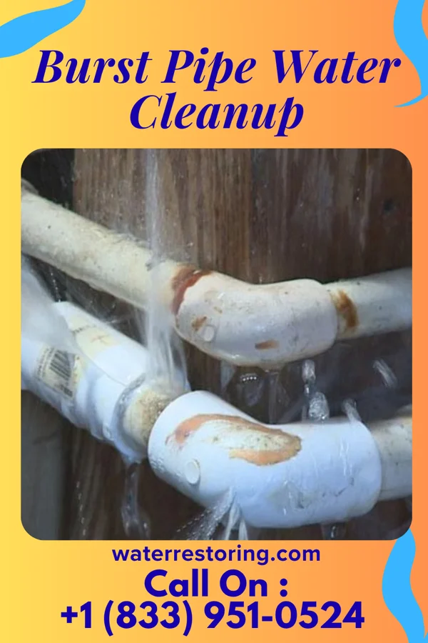 Burst Pipe Water Cleanup in Trenton, OH