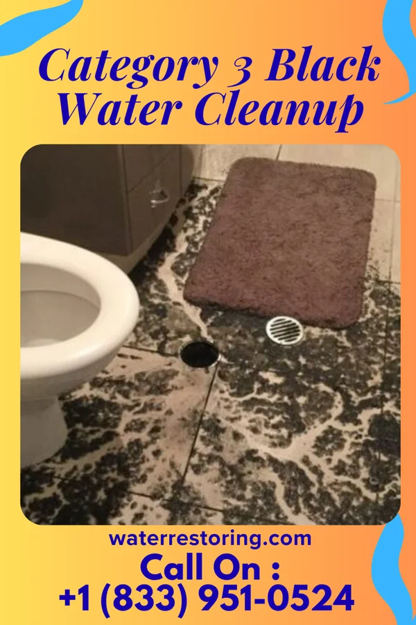 Category 3 Black Water Cleanup in Trenton, OH