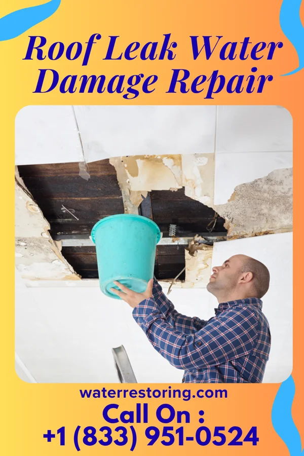 Roof Leak Water Damage Repair in Trenton, OH