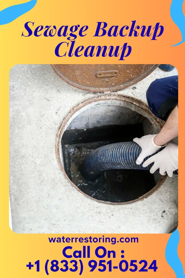 Sewage Backup Cleanup in Trenton, OH