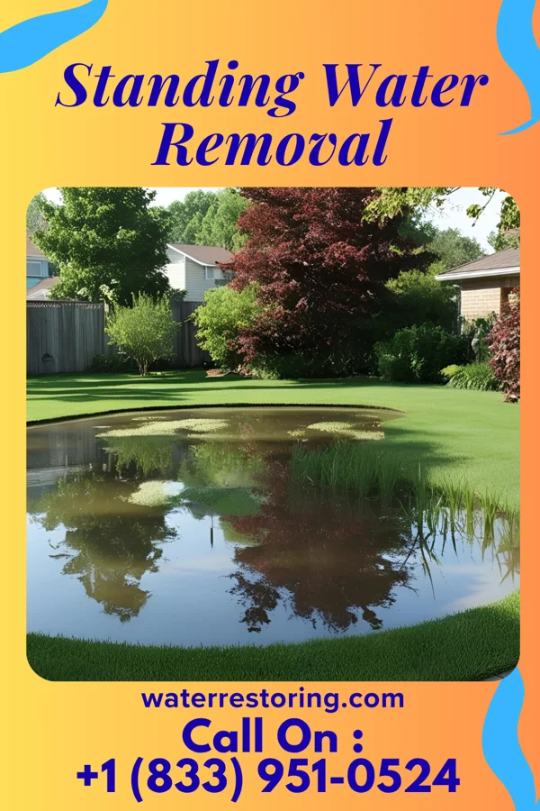Standing Water Removal in Trenton, OH
